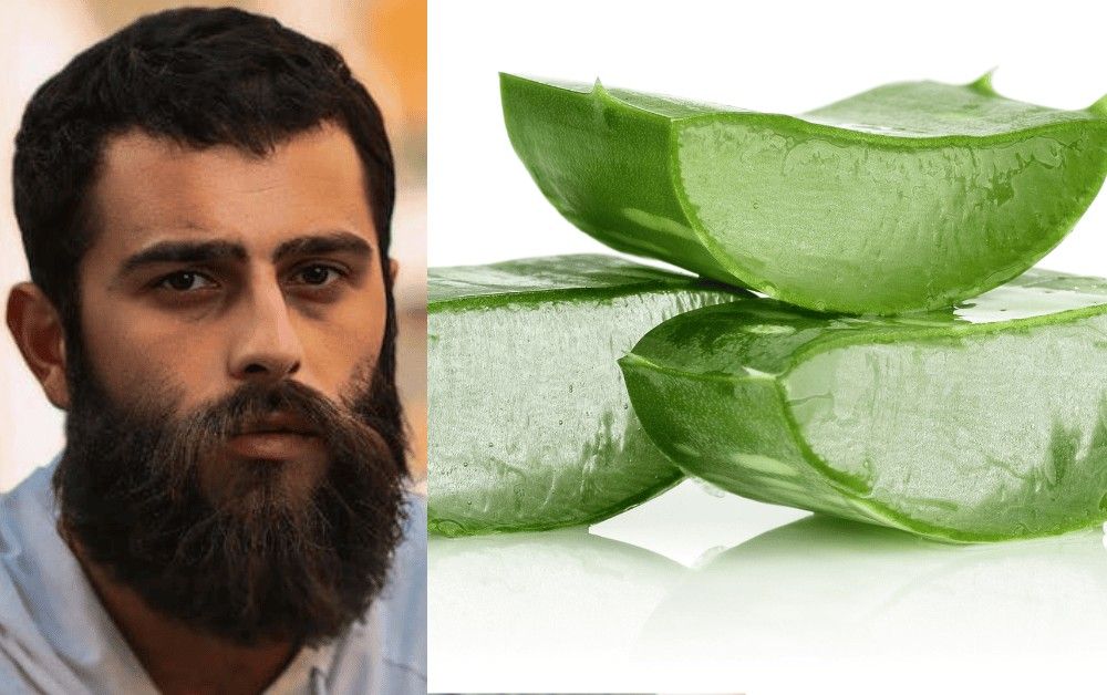 How Aloe Vera Gel Can Help Prevent Your Beard from Getting Dry