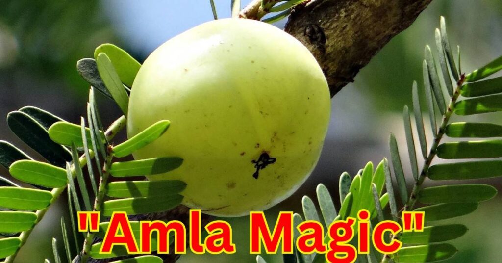 Amla: The Ultimate Superfruit for Health and Hair