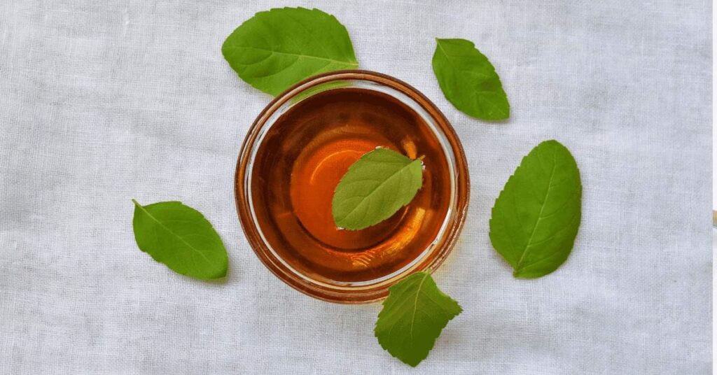 Complete Guide to Holy Basil: Benefits, Uses, and Side Effects