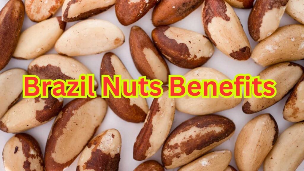 Brazil Nuts: A Comprehensive Guide to Their Benefits