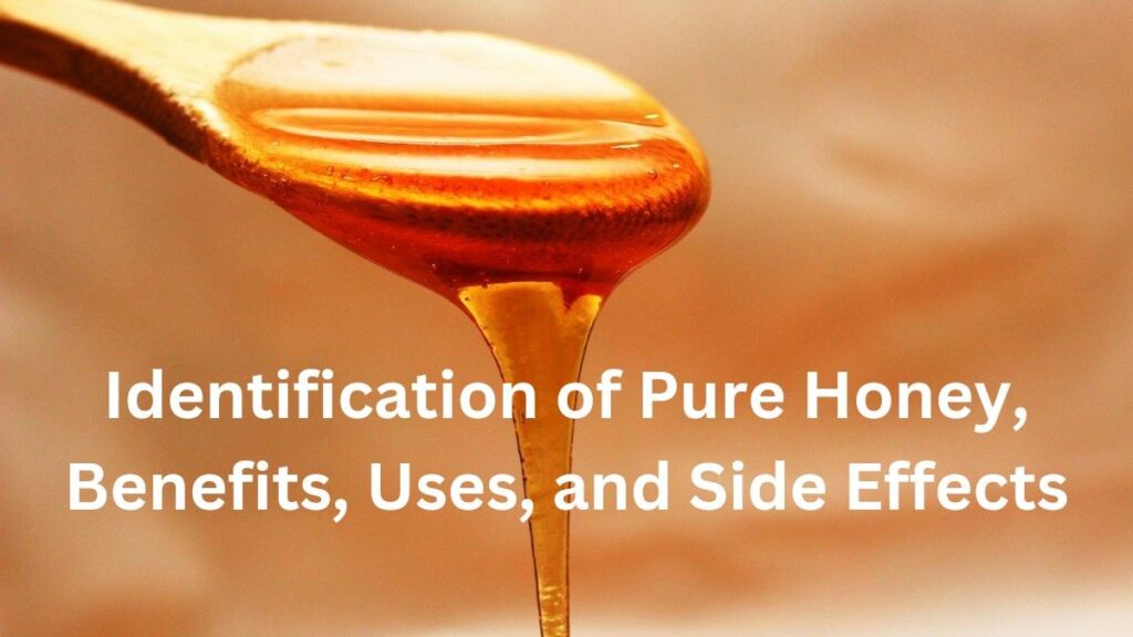 Honey: Identification of Pure Honey, Benefits, Uses, and Side Effects